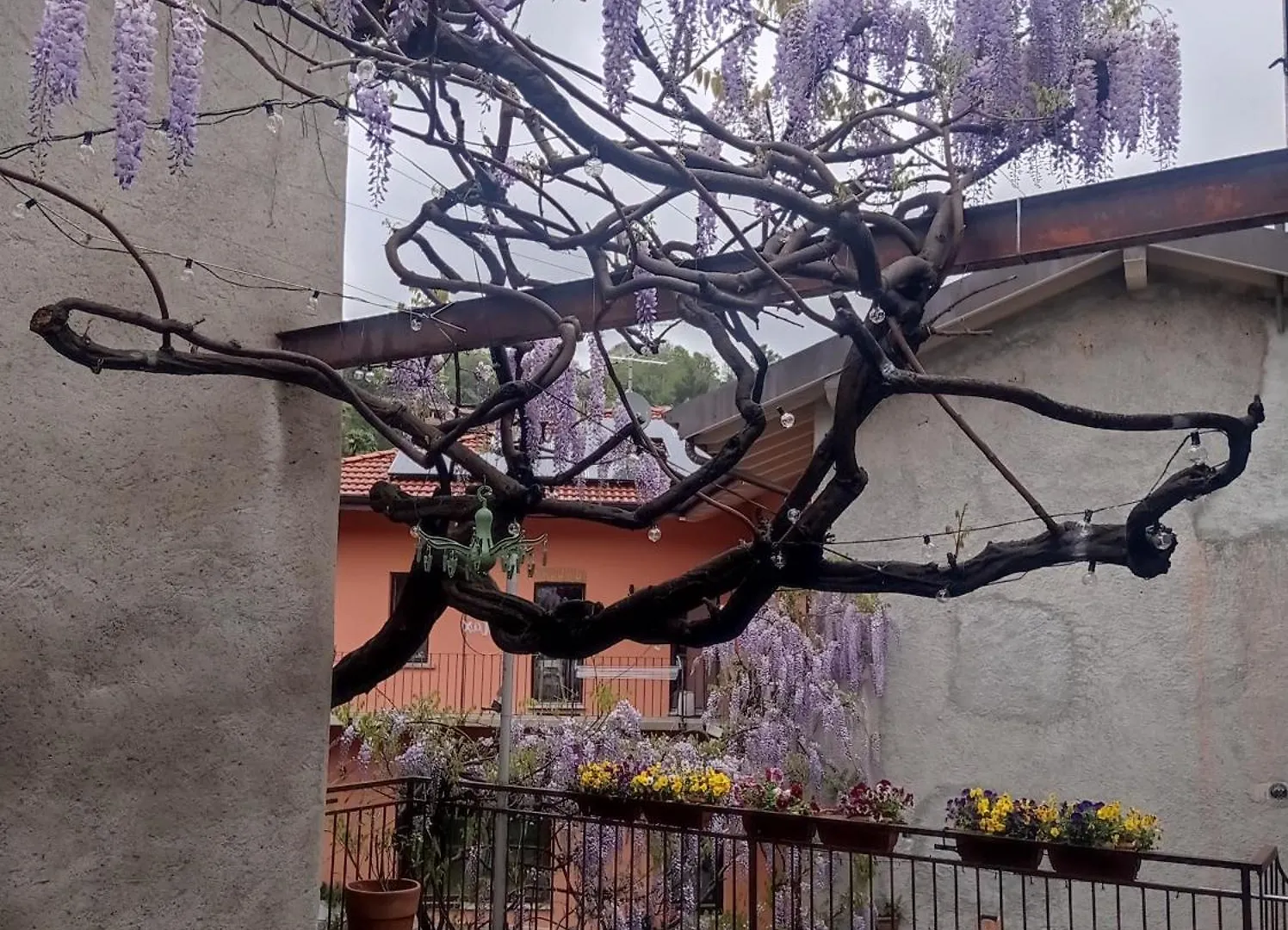 Antico Glicine Apartment Ispra Italy
